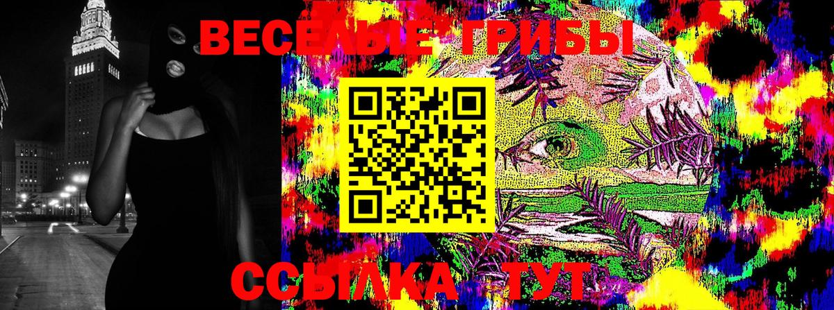 Псилоцибиновые грибы Psilocybe Белгород